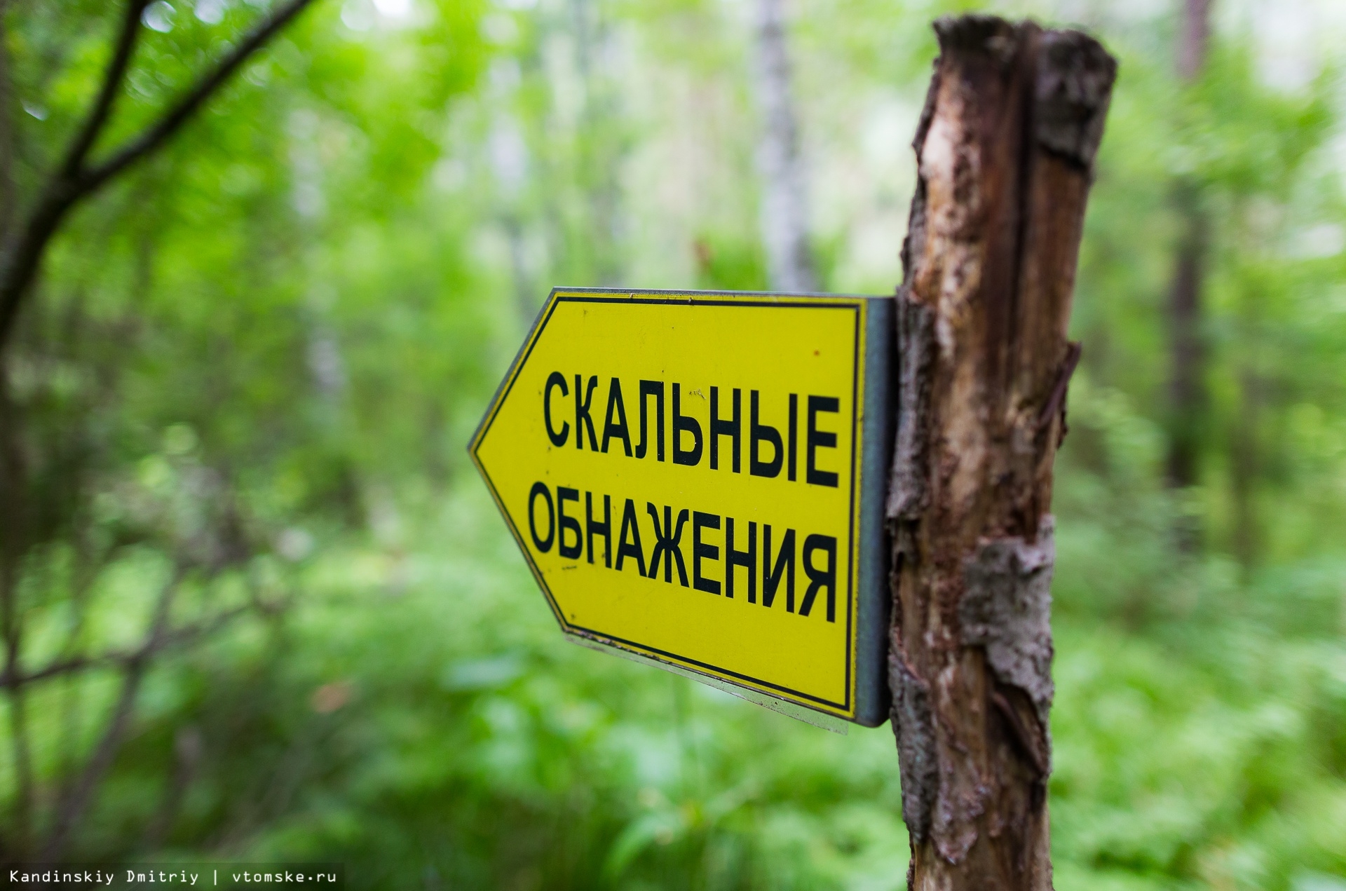 Туристический гид по Томской области